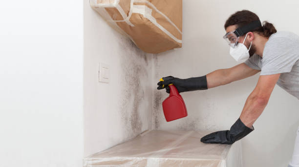 Professional Crawl Space Mold Remediation technician working in Greenlawn, NY